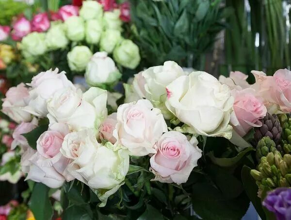 Rejoignez l'association