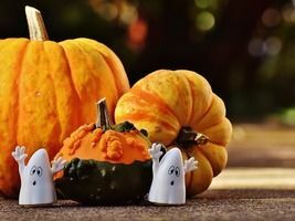 3. A mes belles viennoiseries